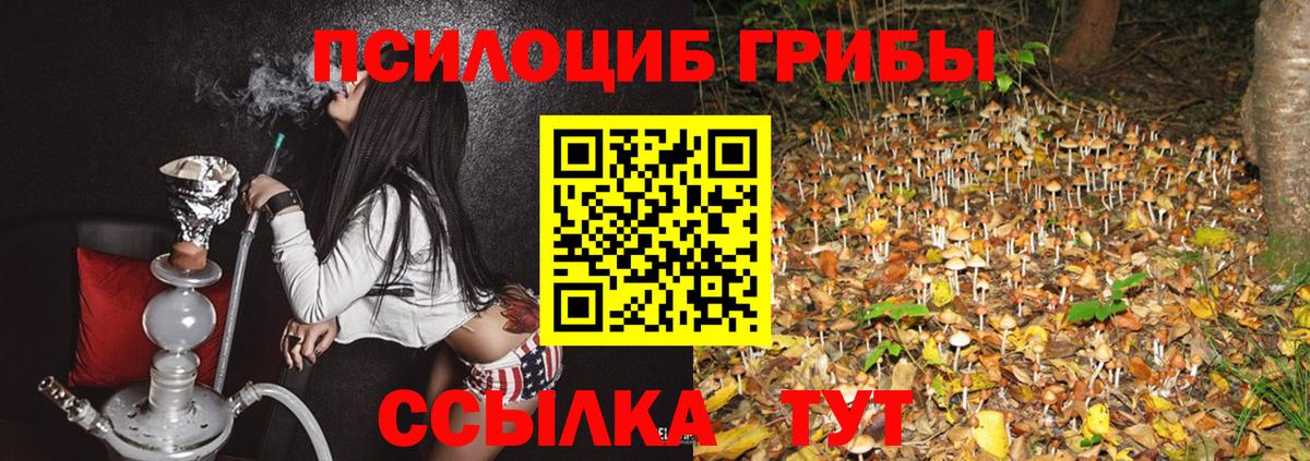 наркота  Галлюциногенные грибы мухоморы  Орехово-Зуево  Вход с VPN  Галлюциногенные грибы прущие грибы 
