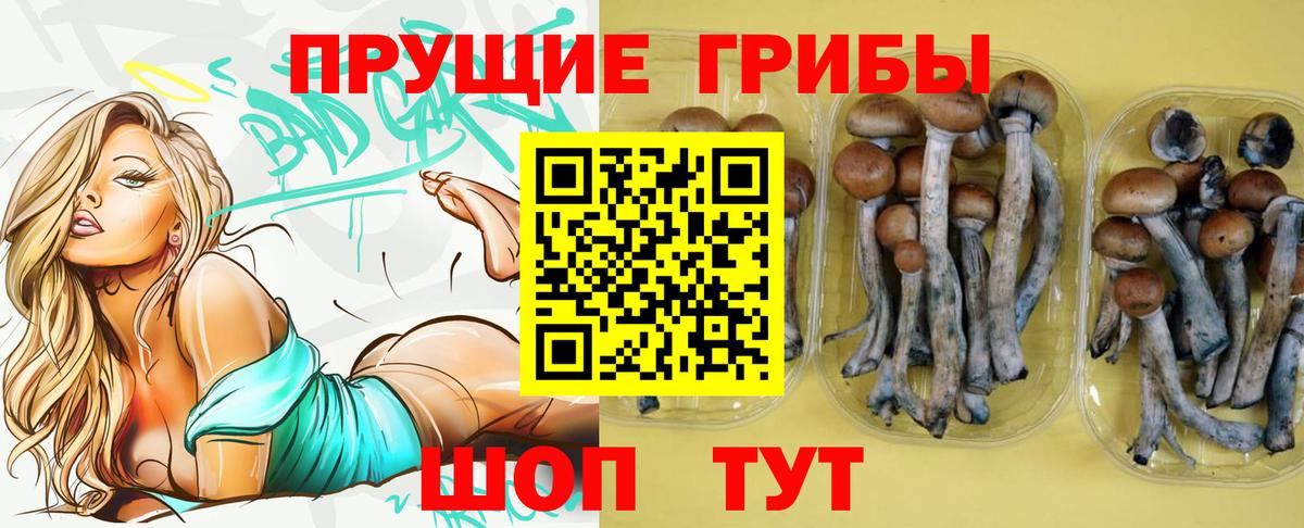КОКАИН  ГАШ  Бошки Шишки  Экстази  Меф   Орехово-Зуево  Вход с VPN 
