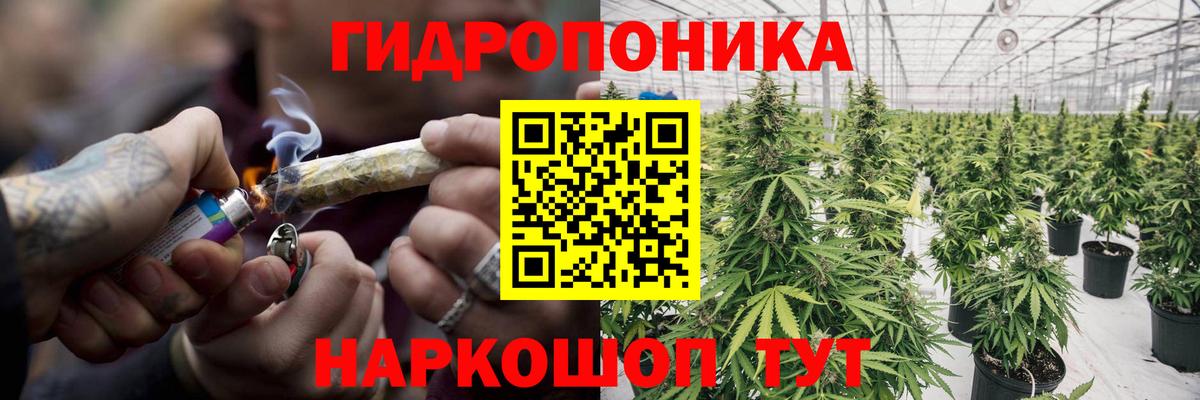 Шишки марихуана марихуана  Вход с VPN  Орехово-Зуево  МАРИХУАНА тримм  МАРИХУАНА планчик 